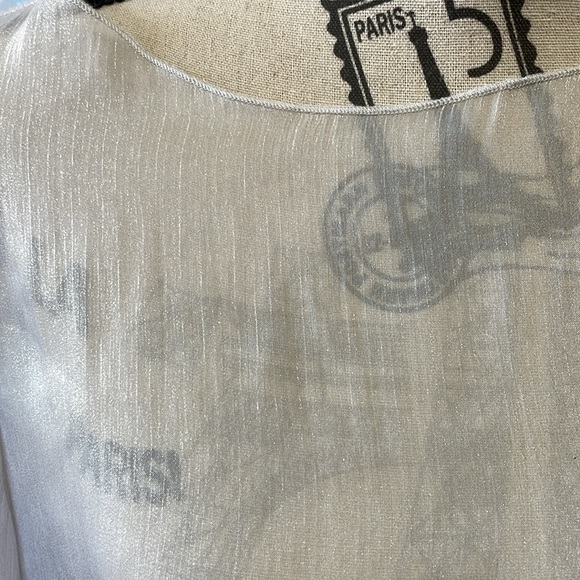 H&M Sliver Long Sleeve Sheer Top - Picture 2 of 6